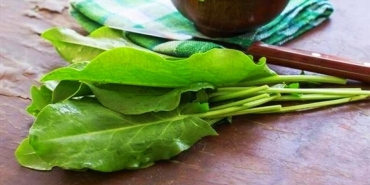 tere-otu-nasil-tuketilir-terenin-faydalari-nelerdir-tere-otu-kaynatip-icmek-Z5dUWd4M.jpg